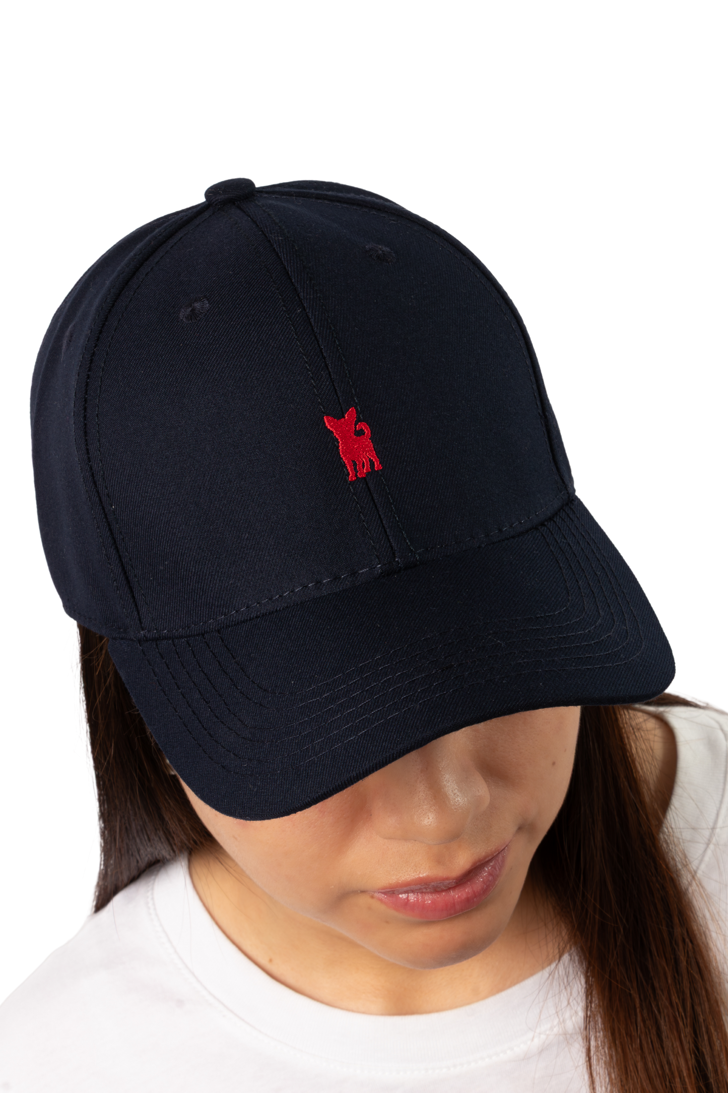 Gorra Chihuaha Azul Bordada | Teil